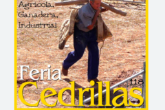 Foto de portada Feria de Ganados y Maquinaria Agrícola Cedrillas (Teruel)