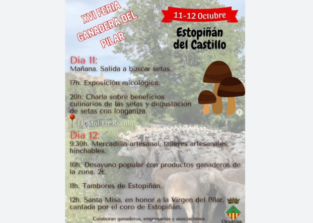 Galería de imágenes Feria del Pilar Estopiñan (Huesca) 1