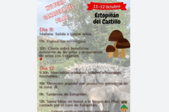 Foto de portada Feria del Pilar Estopiñan (Huesca)