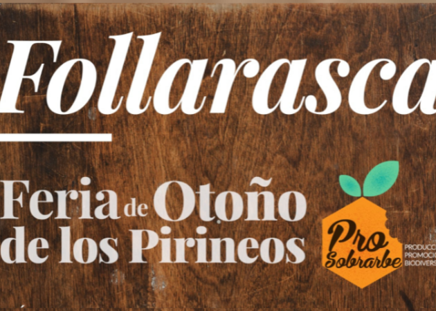 Galería de imágenes Feria Follarasca Ainsa (Huesca) 1
