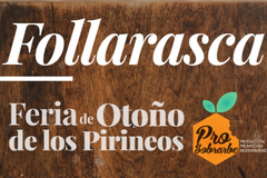 Foto de portada Feria Follarasca Ainsa (Huesca)