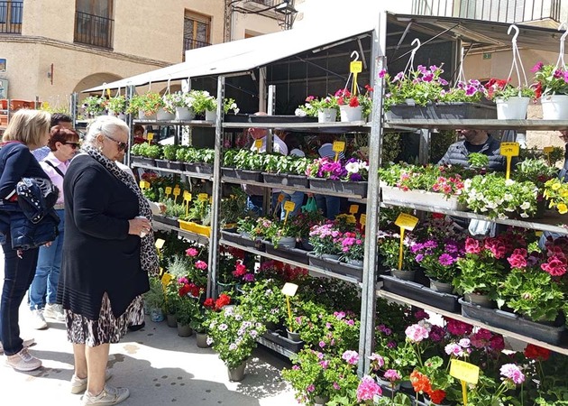 Galería de imágenes Feria del Huerto y El Jardín (Fecha Provisional) 1