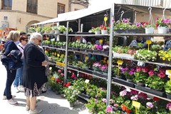 Foto de portada Feria del Huerto y El Jardín (Fecha Provisional)