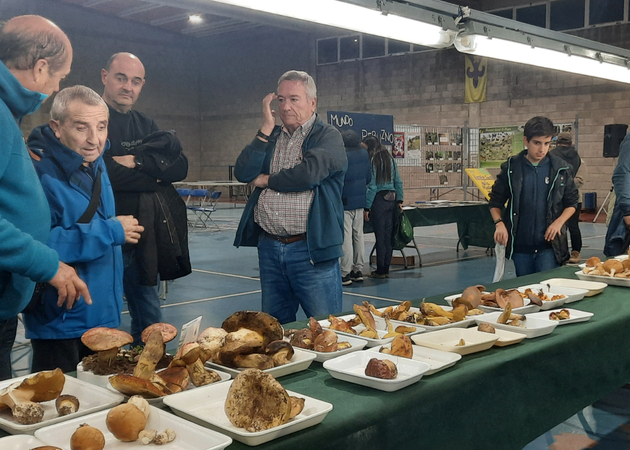 Galería de imágenes Jornadas Micológicas de Ayerbe 1