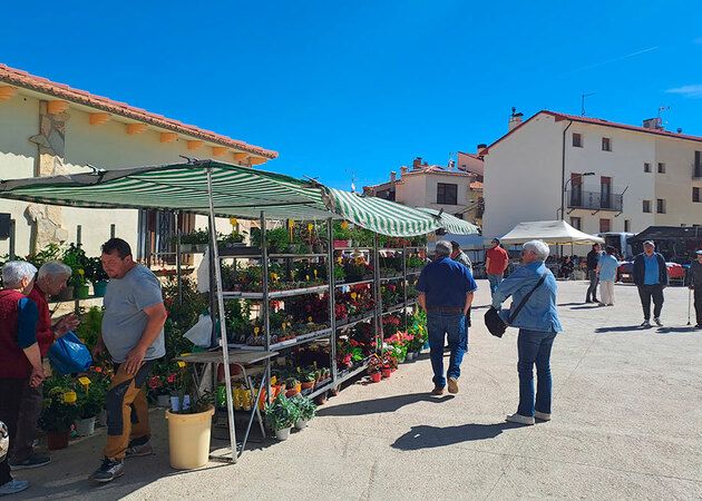 Galería de imágenes Feria Comercial de Cantavieja 1