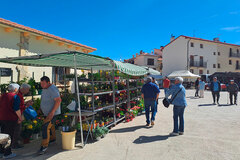 Foto de portada Feria Comercial de Cantavieja