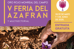 Foto de portada Feria oro rojo