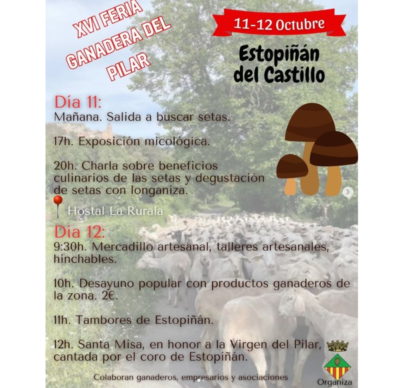 Foto de portada Feria del Pilar Estopiñan (Huesca)