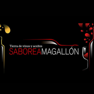 Foto de portada Feria del Vino y del Aceite "Saborea Magallón"