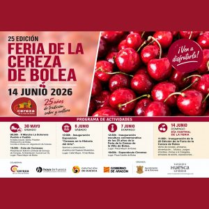 Foto de portada Feria de La Cereza de Bolea