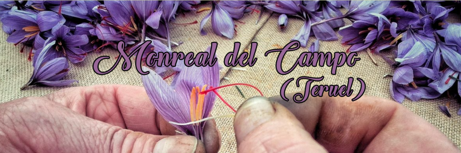 Imagen CELEBRACIÓN DE LA VI FERIA DEL AZAFRÁN - ORO ROJO 